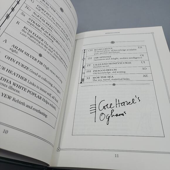 The Celtic Tree Oracle System of Divination First US Edition Hardcover - Picture 12 of 16